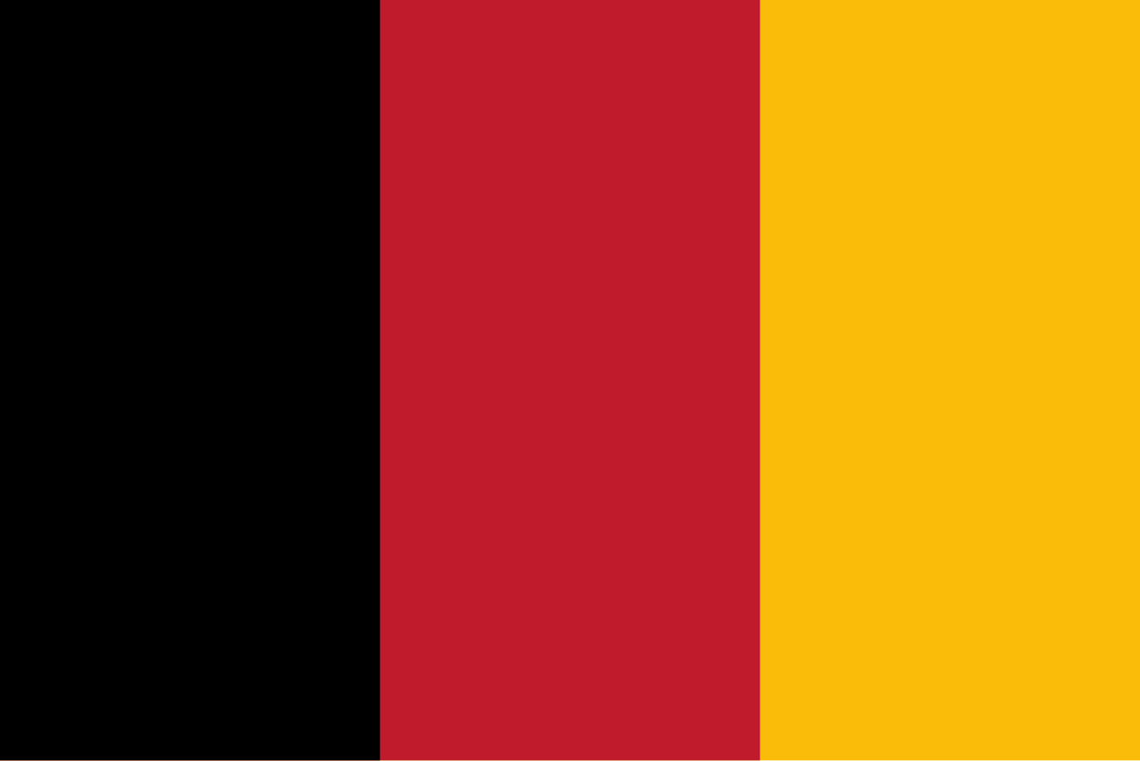 PPP/Civic party flag